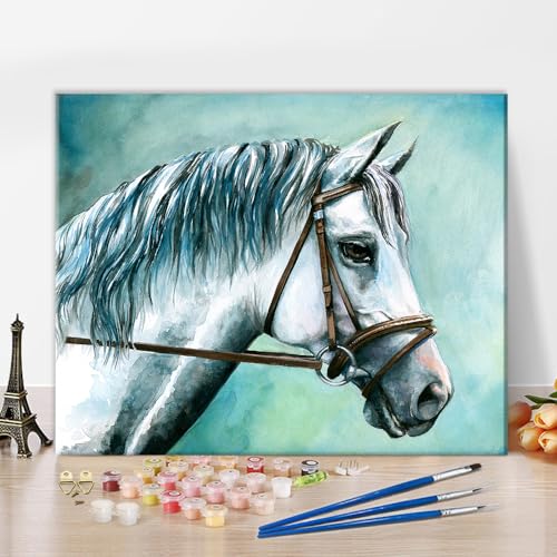 DIY Paint by Rainbow Number White Horse Painting by Numbers for Adults Animal Painting by Numbers Kits on Canvas for Home Wall Decor Acrylic Painting by Numbers Kits for Kid 16 "x20 von Generic