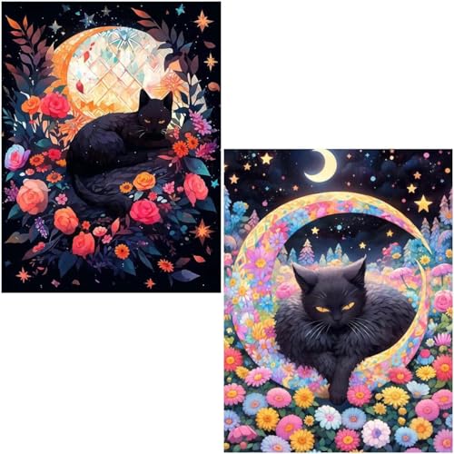 Diamond Painting Erwachsene Black 2 Pack 5D Diamant Painting Bilder DIY Full Voller Diamant Malerei Stickerei Set, Diamond Art painting Daiments Painting Erwachsene für Zuhause Wanddeko 90X120cm 4-531 von Generic