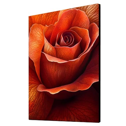 Diamond Painting Erwachsene Blume Diamond Painting Pflanzen, Diamant Malen Nach Zahlen, 5D DIY Crystal art Cross Stickerei Basteln Erwachsene, Home Ästhetik Wand Dekor, Geschenke 40x55 cm 1ZSH-11514 Diamond Painting Erwachsene Blume Diamond Painting Pflanzen, Diamant Malen Nach Zahlen, 5D DIY Crystal art Cross Stickerei Basteln Erwachsene, Home Ästhetik Wand Dekor, Geschenke 40x55 cm 1ZSH-11514 von Generic