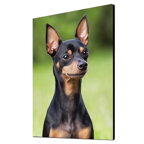 Diamond Painting Erwachsene Hund Diamond Painting Tier, Diamant Malen Nach Zahlen, 5D DIY Crystal art Cross Stickerei Basteln Erwachsene, Home Ästhetik Wand Dekor, Geschenke 70x95 cm 1ZSH-23327 Diamond Painting Erwachsene Hund Diamond Painting Tier, Diamant Malen Nach Zahlen, 5D DIY Crystal art Cross Stickerei Basteln Erwachsene, Home Ästhetik Wand Dekor, Geschenke 70x95 cm 1ZSH-23327 von Generic