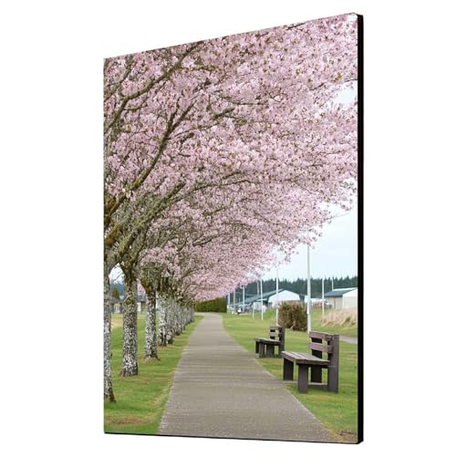 Diamond Painting Erwachsene Kirschblüten Diamond Painting Landschaft, Diamant Malen Nach Zahlen, 5D DIY Crystal art Cross Stickerei Basteln Erwachsene, Home Ästhetik Wand Dekor 80 x 110 cm 1ZSH-5478 Diamond Painting Erwachsene Kirschblüten Diamond Painting Landschaft, Diamant Malen Nach Zahlen, 5D DIY Crystal art Cross Stickerei Basteln Erwachsene, Home Ästhetik Wand Dekor 80 x 110 cm 1ZSH-5478 von Generic