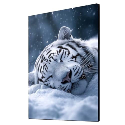 Diamond Painting Erwachsene Weißer Tiger Diamond Painting Tier, Diamant Malen Nach Zahlen, 5D DIY Crystal art Cross Stickerei Basteln Erwachsene, Home Ästhetik Wand Dekor, Geschenke 40x55cm 1ZSH-21884 Diamond Painting Erwachsene Weißer Tiger Diamond Painting Tier, Diamant Malen Nach Zahlen, 5D DIY Crystal art Cross Stickerei Basteln Erwachsene, Home Ästhetik Wand Dekor, Geschenke 40x55cm 1ZSH-21884 von Generic