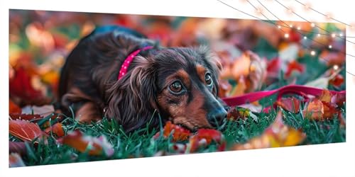 Diamond Painting Hund, Diamant Painting Bilder Erwachsene Tier, DIY Diamond Art Kinder Malen Nach Zahlen Bastelset, 5D Diamant Kunst Malerei Stickerei Set, Geschenke Home Wand Dekor 45x100cm T217 Diamond Painting Hund, Diamant Painting Bilder Erwachsene Tier, DIY Diamond Art Kinder Malen Nach Zahlen Bastelset, 5D Diamant Kunst Malerei Stickerei Set, Geschenke Home Wand Dekor 45x100cm T217 von Generic