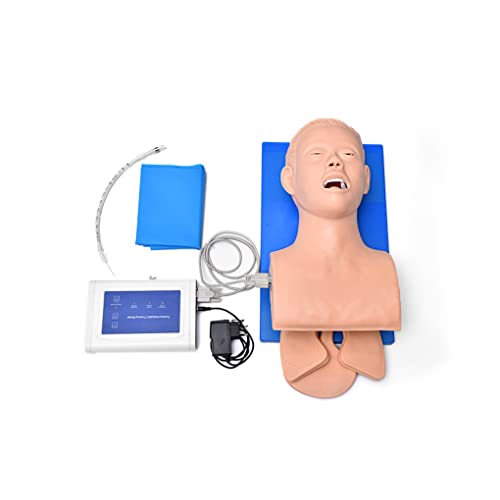 Elektronischer Silikon-Atemwegsmanagement-Trainer für Erwachsene, Intubationspuppe, Lehrmodell, elektronisches Atemwegsmanagement-Simulator-Modell, Intubationskopf, der dem Patienten Rückenl von Generic