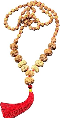 Ganesha Arts 1 bis 14 Mukhi Indonesien Rudraksha Mala (groß) | Ein bis vierzehn Gesicht Indonesien Rudraksh Mala | Natürliche Rudraksha, 18 mm-20 mm, Rudraksha von Generic