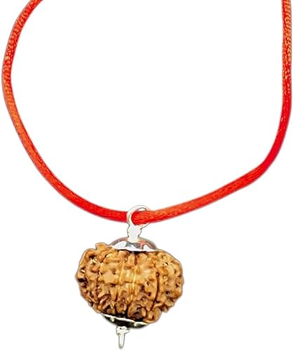 Ganesha Arts 12 Mukhi Rudraksha von Generic