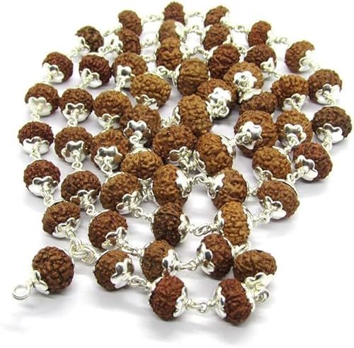 Ganesha Arts Mukhi Indonesische Rudraksha-Mala-Perlen, 54 Perlen, 10 Stück, Silber (10 mm - 12 mm), Laborzertifiziert von Generic