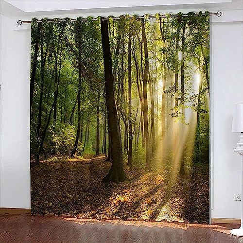 Gardinen Kinderzimmer Blickdicht 2 Stück Sonniger Waldweg 3D Digitaldruck 280 X 250 cm Vorhang Verdunklungsvorhänge Schlafzimmer Wohnzimmer Ösenschal Kinder Thermovorhang-0S0C-F2C von Generic