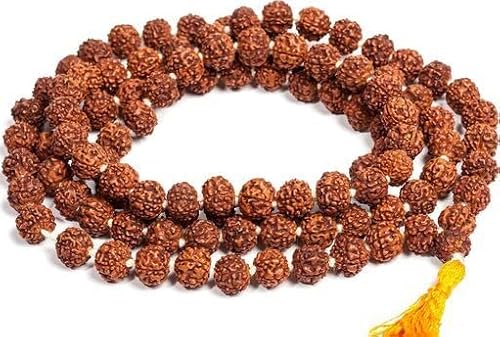 Global Rudraksha Mala Rosenkranzperlen, 8 mm, Rudraksh-zertifiziert und energetisiert von Generic