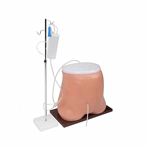 Humanes Peritonealdialysemodell 55 * 45 * 38 cm Peritonealdialysesimulator Anatomiemodell Manikin Abdomen Anatomisches menschliches Pflegemodell Ausbildung in der Medizin von Generic