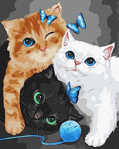 IDEYKA Holzrahmen zum Ausmalen nach Zahlen, Tiere, Katze, Vogel, Löwe, Tiger, komplettes Set, Weihnachtsgeschenke, DIY-Acrylgemälde für Erwachsene (Flauschige Kätzchen 40x50) von Generic