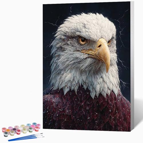 Malen Nach Zahlen Erwachsene Tier Malen Nach Zahlen Adler, Bastelset Erwachsene Mit 3-Pinseln Und Acrylfarbe, DIY Handgemalt öLgemäLde Kit FüR Geschenke, Zimmer Deko 40×60cm Ohne Rahmen -LKF0786O6 Malen Nach Zahlen Erwachsene Tier Malen Nach Zahlen Adler, Bastelset Erwachsene Mit 3-Pinseln Und Acrylfarbe, DIY Handgemalt öLgemäLde Kit FüR Geschenke, Zimmer Deko 40×60cm Ohne Rahmen -LKF0786O6 von Generic