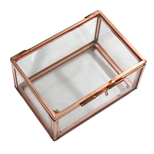 Schmuckschatulle aus Glas, Roségold, 25,4 x 17,8 x 15,2 cm, elegantes geometrisches Terrarium für Pflanzen, Schmuck und mehr von Generic