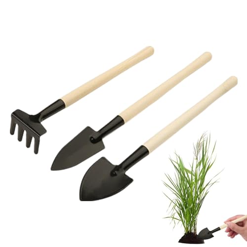 Sukkulenten-Werkzeug, Garten-Werkzeug-Set, Sukkulenten-Werkzeuge, Sukkulenten-Werkzeug-Set, Set mit Pflanz- und Lockerungsschaufeln, kleines Gartengerät für den Haushalt, Schaufel, Rechen, Spaten von Generic