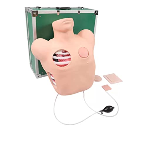 Thorakozentese-Trainingspuppe, simuliertes menschliches Dummy-Pneumothorax-Drainagemodell nach Thoraxtrauma, geschlossenes Thoraxdrainagemodell, Krankenhaustraining, 51 x 49 x 20 cm von Generic