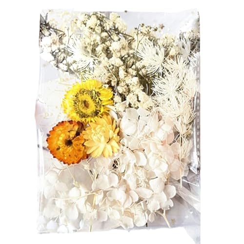 Trockenblumen-Bastelarbeiten,Trockenblumen-Bastelarbeiten - Foto Requisiten Karte Hochzeit Trockenblume - Journaling Blumenation, farbenfrohe, vielseitige Trockenblumen-Kartenation für Schlafzimmer, B von Generic