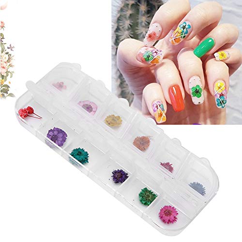 Trockenblumen für Nägel, Nagelblumen-Charms, DIY-Nagelkunst-Dekorationszubehör, 12 Farben, Getrocknete Blumen, Echte Blumen, Nagelaufkleber, Mini-Trockenblumen für Frauen, von Generic