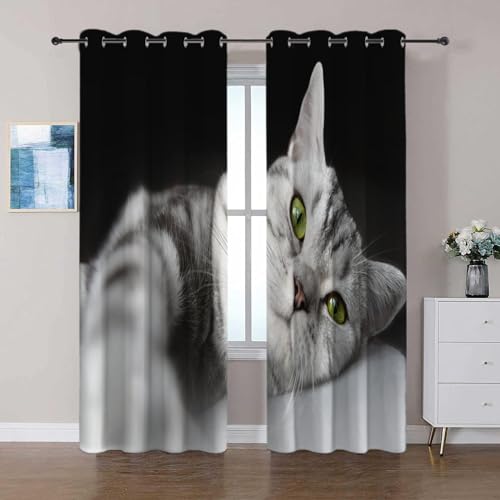 Verdunkelungsvorhänge Tierische Graue Katze Vorhang mit ösen Blickdichte Thermo Kälteschutz Vorhänge Kinderzimmer Schlafzimmer Verdunkelung Fenster, 2 Stück B75 x H166 cm von Generic