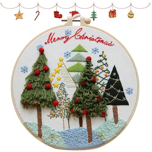 Weihnachtsornamente Bastelset - Weihnachtsmann Stickset, Winter Handstickerei Set für Weihnachten für Anfänger, Erwachsene u von Generic