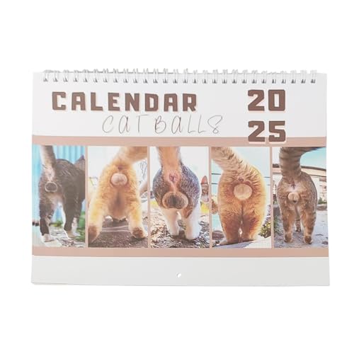 Lustiger Katzen-Loch-Kalender, 12-Monatskalender für Katzenpoß - Lustiger Kalender Wandkalender Monatskalender | Wanddeko des Kalenders 2025, Jahresplaner, dickes Papier von Générique