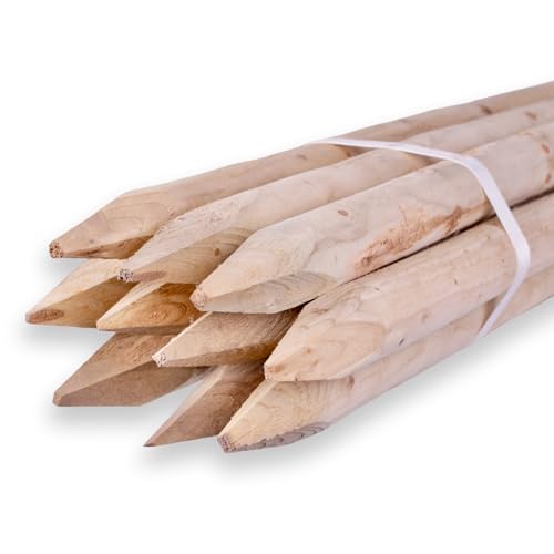 10 Stück Set Naturbelassene Rundholzpfähle 4,6 cm Durchmesser – Verschiedene Längen und Stärken – Ideal als Zaunpfähle, Pflanzpfähle oder Baumpfähle (4,6x100 cm) von Generisch