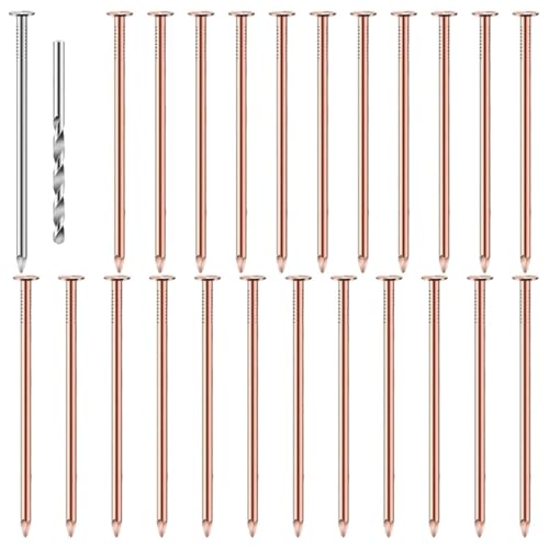 25 Stück Kupfernägel, Baumstumpf-Killer, Baumstumpfentfernung, Spikes, Hardware-Nägel zum Töten von Bäumen, Entfernen von Baumstümpfen von Generisch