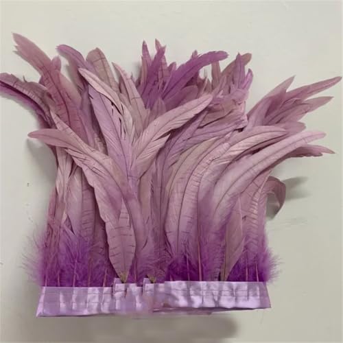 30–35 cm, Schwanzfedern, 10 m, Kleid, DIY-Zubehör für Bastelarbeiten, Band, 25–30 cm, Hellviolett, 30–35 cm 30–35 cm, Schwanzfedern, 10 m, Kleid, DIY-Zubehör für Bastelarbeiten, Band, 25–30 cm, Hellviolett, 30–35 cm von Generisch