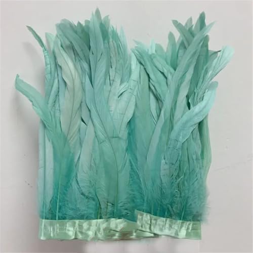 30–35 cm, Schwanzfedern, 10 m, Kleid, DIY-Zubehör für Bastelarbeiten, Band, 25–30 cm, Minze, EN8, 30–35 cm 30–35 cm, Schwanzfedern, 10 m, Kleid, DIY-Zubehör für Bastelarbeiten, Band, 25–30 cm, Minze, EN8, 30–35 cm von Generisch