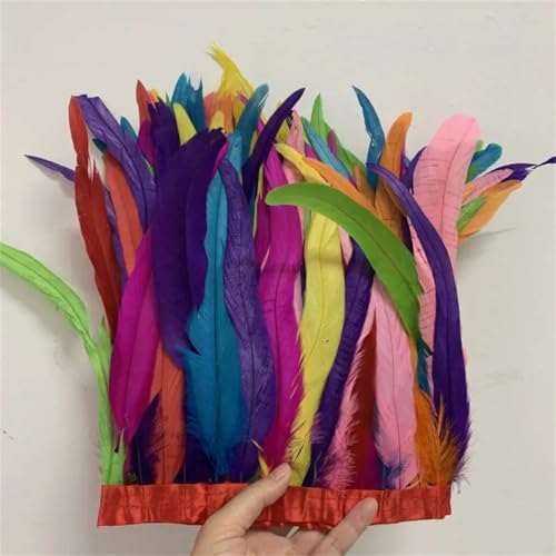 30–35 cm, Schwanzfedern, 10 m, Kleid, DIY-Zubehör für Bastelarbeiten, Band, 25–30 cm, bunt, 30–35 cm 30–35 cm, Schwanzfedern, 10 m, Kleid, DIY-Zubehör für Bastelarbeiten, Band, 25–30 cm, bunt, 30–35 cm von Generisch