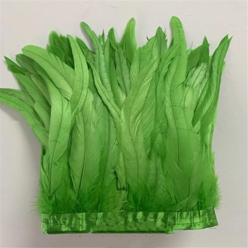 30–35 cm, Schwanzfedern, 10 m, Kleid, DIY-Zubehör für Bastelarbeiten, Band 25–30 cm, 1101, 30–35 cm 30–35 cm, Schwanzfedern, 10 m, Kleid, DIY-Zubehör für Bastelarbeiten, Band 25–30 cm, 1101, 30–35 cm von Generisch