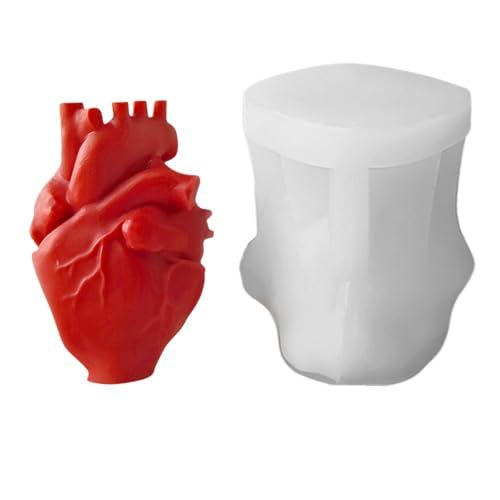 3D Herzform Für Kuchen | Realistische Menschliche Herz Kerzen Gussform,Antihaft Handwerkzeug Für Muffins Dessert Ton Zement Schokolade Seife 3D Herzform Für Kuchen | Realistische Menschliche Herz Kerzen Gussform,Antihaft Handwerkzeug Für Muffins Dessert Ton Zement Schokolade Seife von Generisch