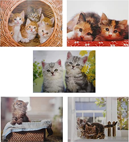 5er Set Klappkarten Katze mit Umschlag 16 x 12 cm Doppelkarte Postkarte GPK 1000 von Generisch