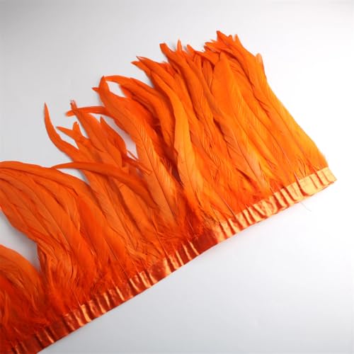 9,1 m/Lot 30–35 cm Federborte zum Basteln, Federbesatz, Band, Kleid, Kostüme, Orange, 9,1 m 9,1 m/Lot 30–35 cm Federborte zum Basteln, Federbesatz, Band, Kleid, Kostüme, Orange, 9,1 m von Generisch
