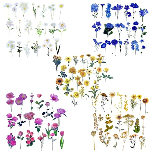 Blumen Scrapbooking Aufkleber, Transparente Pflanzen Aufkleber, Wasserfeste Sticker Blumen, Transparente PET Aufkleber Blumen, Bunte Sticker Aesthetic, Sticker Fotoalbum für DIY Wasserflaschen von Generisch