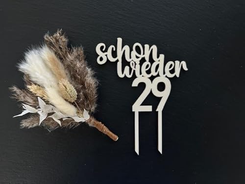 CAKE TOPPER "Schon wieder 29" Happy Birthday Holz Kuchenstecker Stecker Tortendeko Geburtstag Torte Kuchen von Generisch