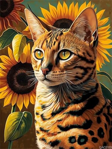 DIY Diamant Art Painting Set, Katze Square Drill Diamond Painting Set für Erwachsene und Anfänger, Vollbohrer Diamanten Malerei Stickerei, Mosaikherstellung Bilder für Haus Wanddeko 50x70cm Dn9914 DIY Diamant Art Painting Set, Katze Square Drill Diamond Painting Set für Erwachsene und Anfänger, Vollbohrer Diamanten Malerei Stickerei, Mosaikherstellung Bilder für Haus Wanddeko 50x70cm Dn9914 von Generisch