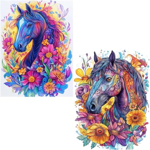 Diamond Painting Erwachsene Horse 2 Pack 5D Diamant Painting Bilder DIY Full Voller Diamant Malerei Stickerei Set, Diamond Art painting Daiments Painting Erwachsene für Zuhause Wanddeko 40x50cm 4-687 von Generisch