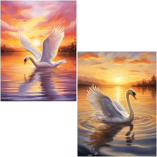 Diamond Painting Set für Erwachsene Anfänger, 2 Pack Lake 5D Diamond Painting Klein Zahlen Diamond Diamant Painting Bilder DIY Diamant Malerei Set Strass Arts Set für Home Wand Decor 40x50cm 4-702 von Generisch