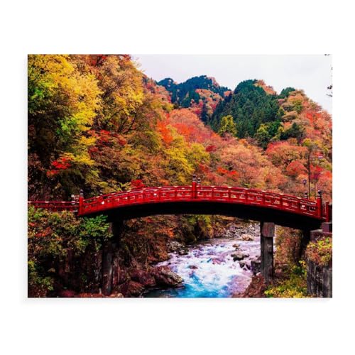 Malen Nach Zahlen Erwachsene Japanischer Garten Brücke Landschaft Mit Rahmen 40X50Cm Malen Nach Zahlen Sets Auf Leinwand Mit Acrylfarben Für Kinder Anfänger,Diy Ölgemälde-Set Groß Landschaft,A17 von Generisch