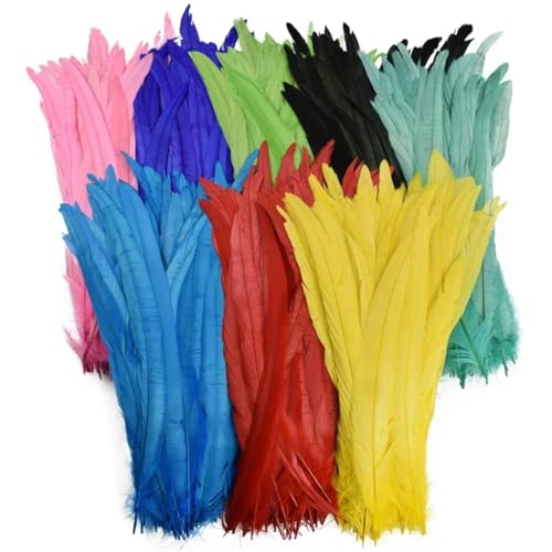 Hahnfedern für Bastelarbeiten, Kostüme und Halloween, Karneval, Zubehör, Bastelbedarf, mehrfarbig, 30–35 cm, 50 Stück Hahnfedern für Bastelarbeiten, Kostüme und Halloween, Karneval, Zubehör, Bastelbedarf, mehrfarbig, 30–35 cm, 50 Stück von Generisch