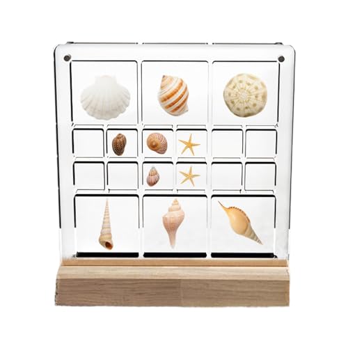 Magnetische Shell-Vitrine, Desktop-Display-Box | Magnetische Vitrine mit Muschel-Ornament - Aufbewahrungsorganisator mit Magnetverschluss für Studios, Werkstätten, Schlafzimmer, Arbeitsbereiche, Baste von Generisch