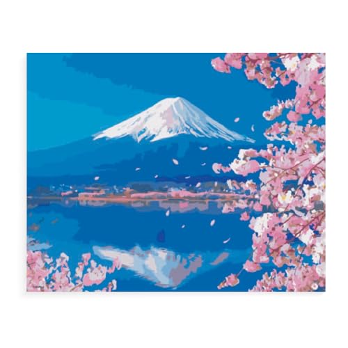 Malen Nach Zahlen Erwachsene Japanischer Garten Brücke Landschaft Mit Rahmen 40X50Cm Malen Nach Zahlen Sets Auf Leinwand Mit Acrylfarben Für Kinder Anfänger,Diy Ölgemälde-Set Groß Landschaft,D2 von Generisch