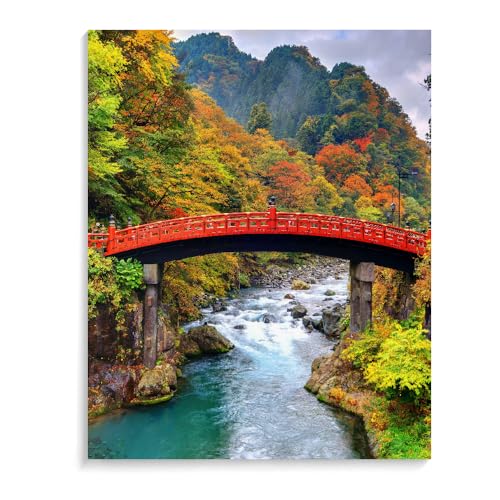 Malen Nach Zahlen Erwachsene Japanischer Garten Brücke Landschaft Ohne Rahmen 40X50Cm Malen Nach Zahlen Sets Auf Leinwand Mit Acrylfarben Für Kinder Anfänger,Diy Ölgemälde-Set Groß Landschaft,D17 von Generisch