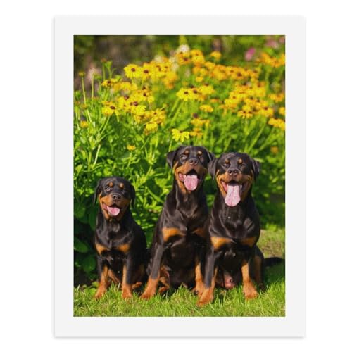 Malen nach Zahlen, Drei entzückende Rottweiler, die vor lebendigen gelben Blumen sitzen, digitale Malerei, Kunstwerk für Erwachsene, Kunstwerk, Wanddekoration, einzigartiger moderner abstrakter Druck Malen nach Zahlen, Drei entzückende Rottweiler, die vor lebendigen gelben Blumen sitzen, digitale Malerei, Kunstwerk für Erwachsene, Kunstwerk, Wanddekoration, einzigartiger moderner abstrakter Druck von Generisch