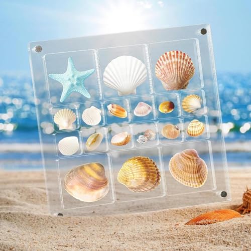 Muschel-Präsentationsbox, transparent, Acryl, magnetische Muschel-Vitrine – transparente Acryl-Muschel-Vitrine – multifunktionaler Diamant-Edelstein, Organizer für Perlen, Nagelschmuck von Generisch