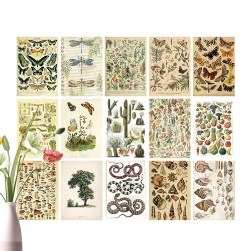 Scrapbook-Papier-Kit - Ästhetisches Vintage-Scrapbooking-Papier-Bastel-Journaling-Zubehör - Exquisites Kunst-Decoupage-Tagebuchpapier, vielseitig einsetzbar für -Kunsthandwerk von Generisch