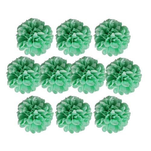 Seidenpapier-Pompons, Seidenpapier-Blumenbälle für Hochzeitsdekoration, Partyzubehör, Bastelpapier, Blumen-Pompons (Mint, 10 Stück - 20 cm) von Generisch