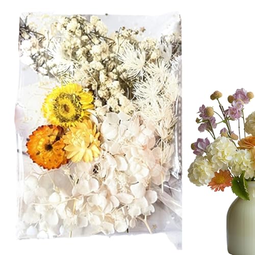 Trockenblumen-Bastelarbeiten,Trockenblumen-Bastelarbeiten - Foto Requisiten Karte Hochzeit Trockenblume | Bunte Foto-Requisiten, Journaling-Blumenation für Schlafzimmer, Heimation von Generisch