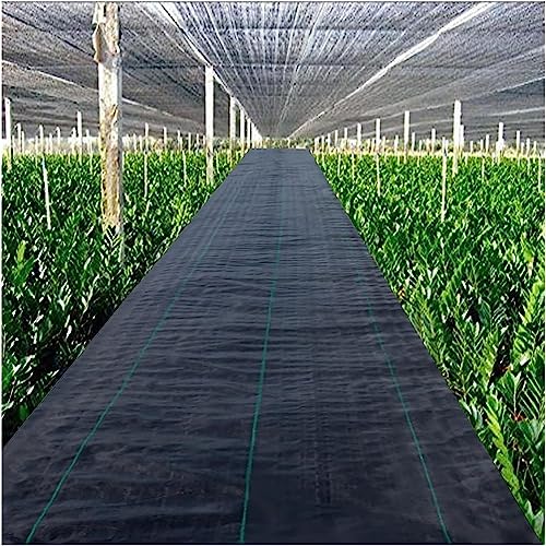 Unkrautvlies für Gartenbeete, Teich, 60 cm breit, 10 m, 200 m lang von Generisch