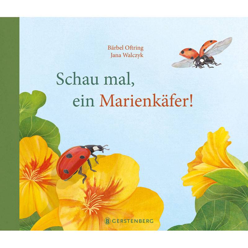 Schau Mal, Ein Marienkäfer! - Bärbel Oftring, Gebunden von Gerstenberg Verlag